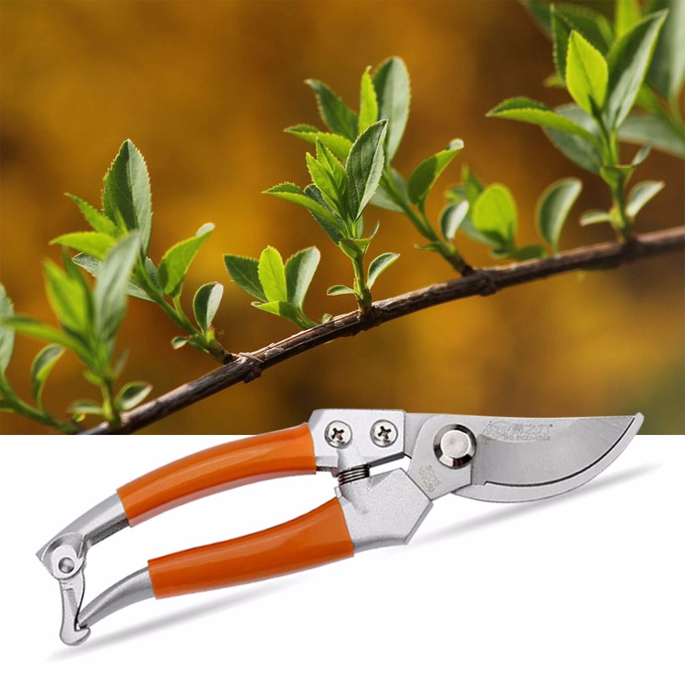 Garden Secateurs Scissors Shears Grafting Tool Fruit Tree Pruning Shears Easy Bonsai Pruner Shopee Philippines