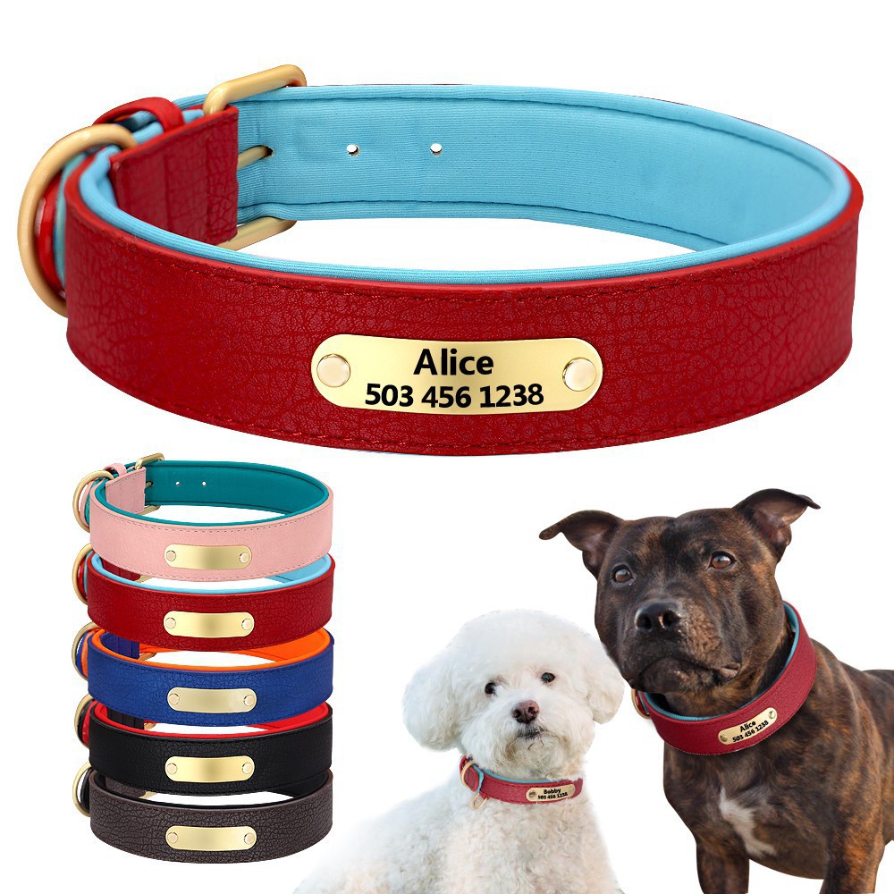 dog collars for sale