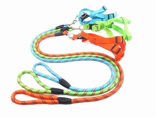 【COD】Pet dog cat leash round leash(Large)