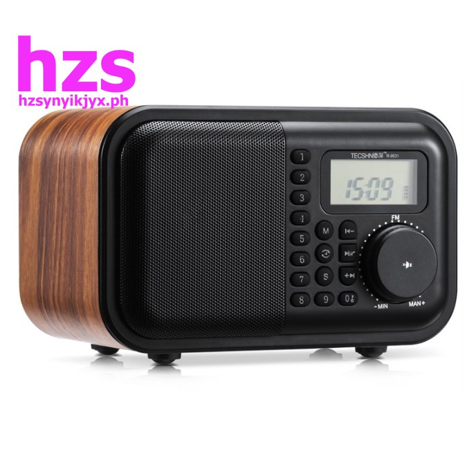 portable radio with bluetooth output