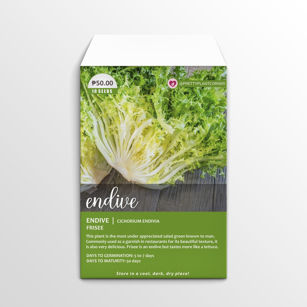 Frisee Curly Endive Seeds Shopee Philippines
