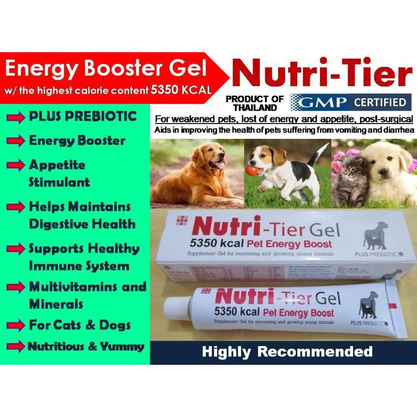 Nutri Tier Gel Pet Energy Boost Plus Prebiotic For Dog Cat 30g Nutritier Shopee Philippines