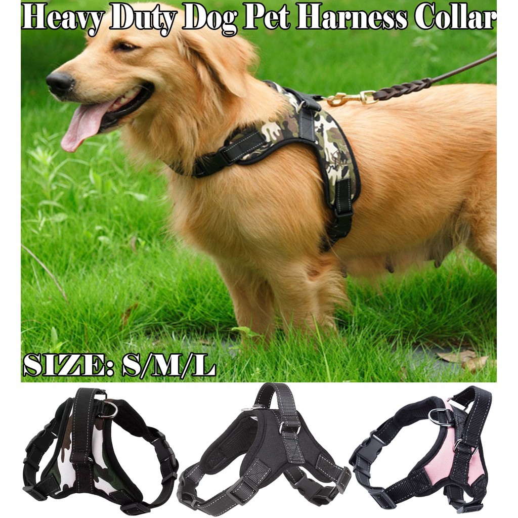 heavy duty dog harness