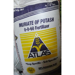 potash muriate