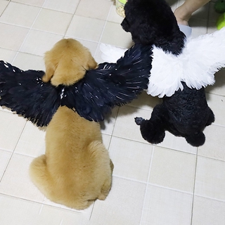 WeeH Pet Halloween Costume Cosplay Angel Devil Black White Wing for Dog Cat Rabbit Piggy - Funny Gift at Halloween Party Anime Theme Birthday Christmas #1