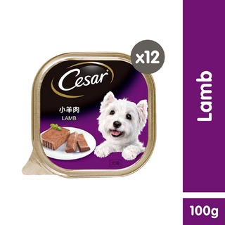 CESAR Wet Dog Food – Lamb Flavor (12-Pack), 100g. Premium Dog Food for Adult Dogs