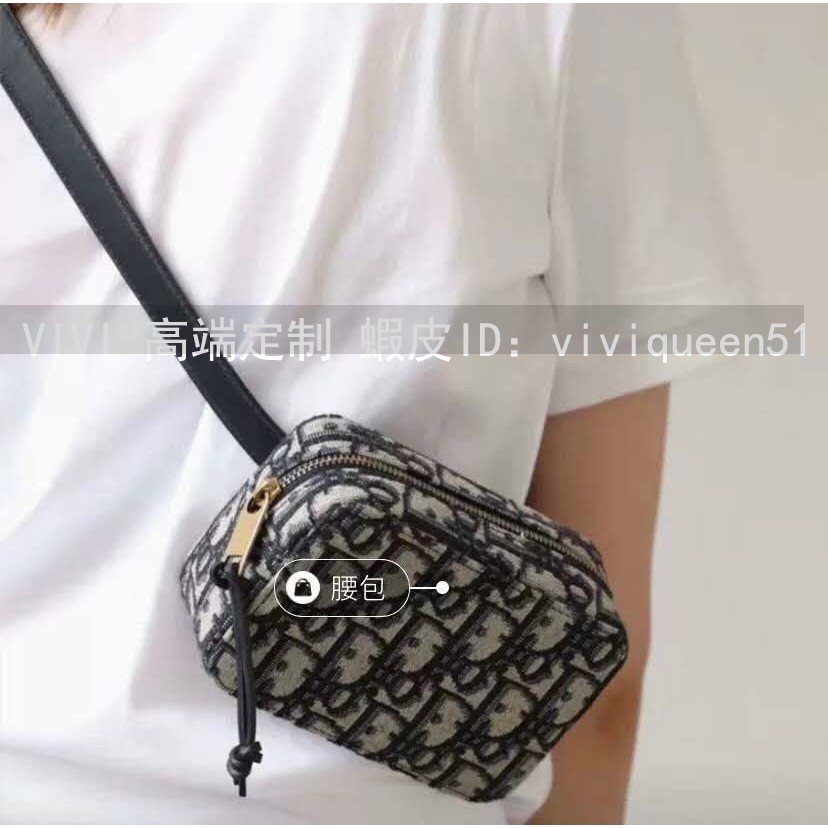 dior camera bag