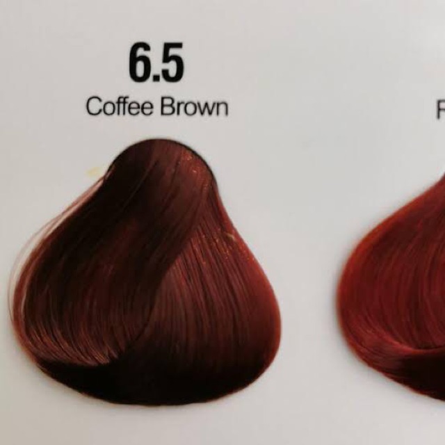 6 5 Coffee Brown Hair Color Sunbright Series Shopee Philippines