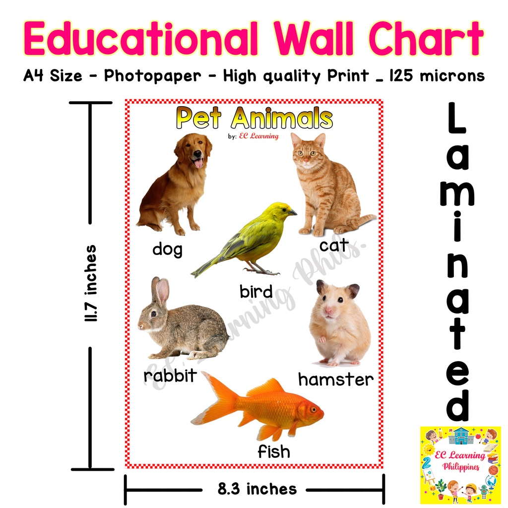 A4 PET ANIMALS Laminated Educational Chart for kids WALL CHART | Shopee  Philippines