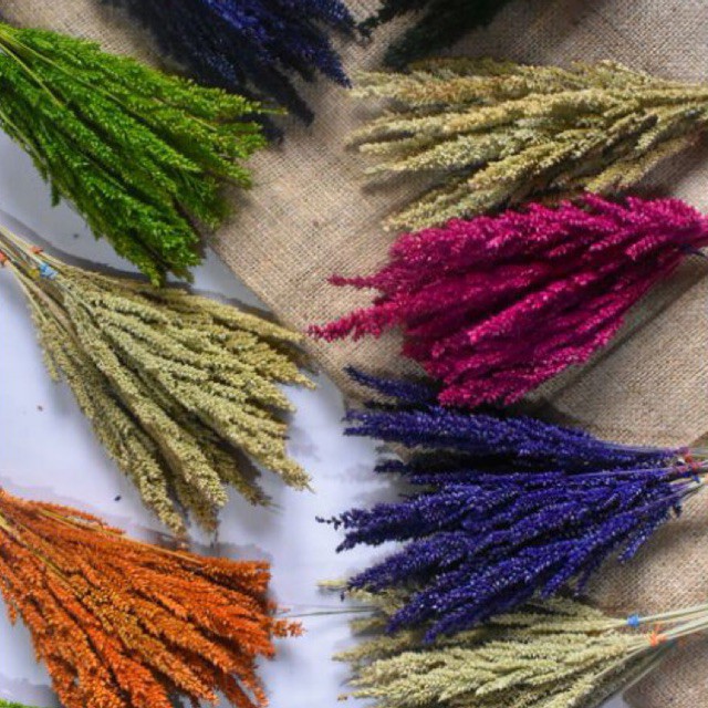 Home decor dried flowers Shopee Philippines