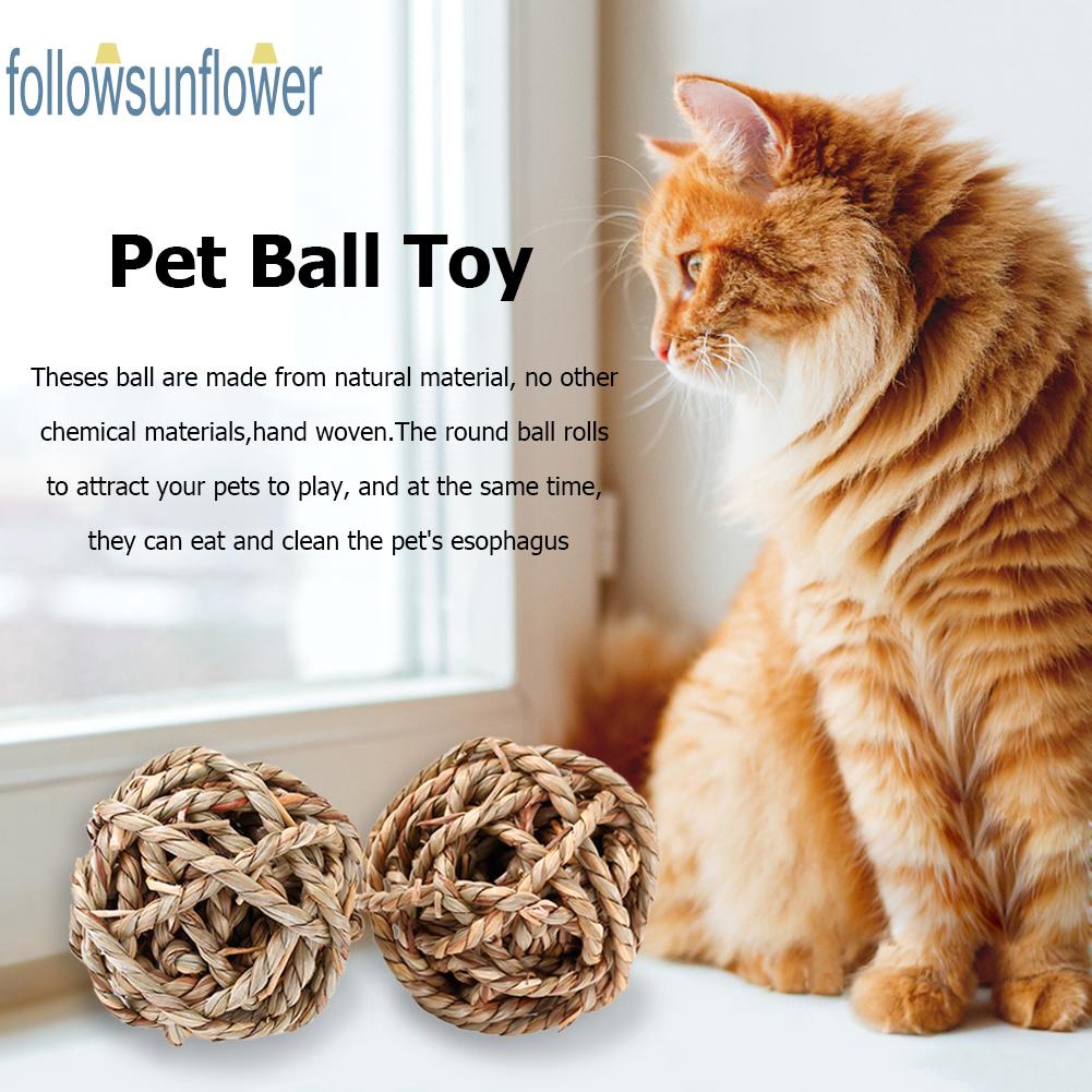 guinea pig balls for sale