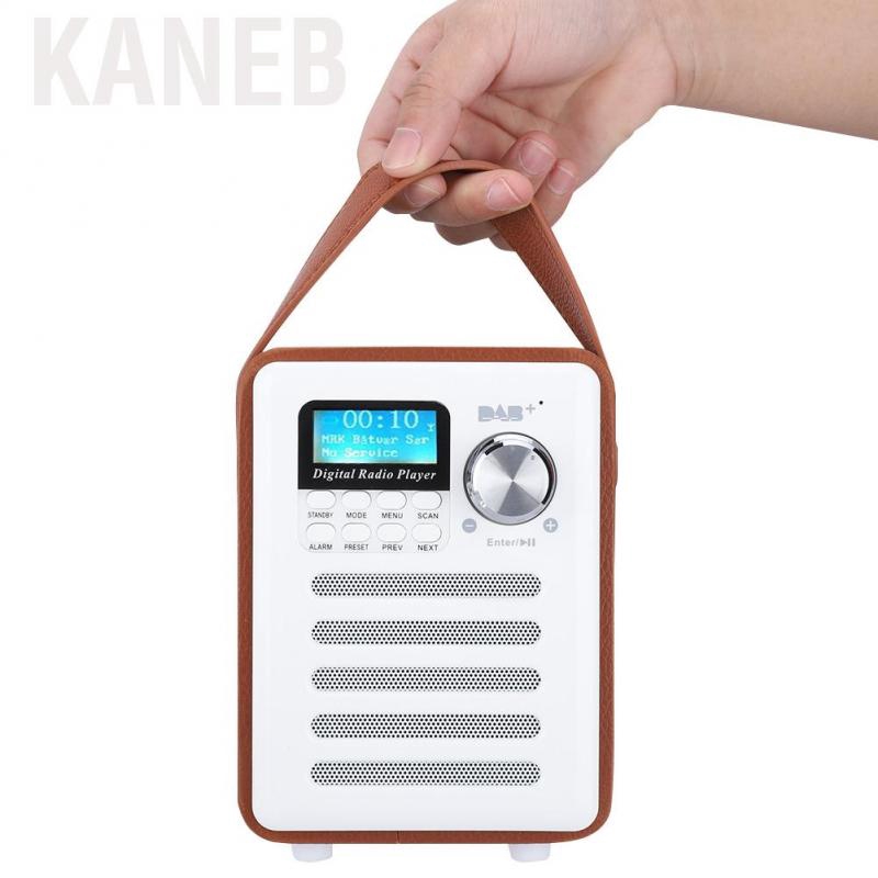 digital radio and bluetooth speaker