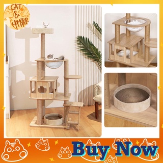Luxury Pet Cat Tree Tower cat House cat carrier cat box cat bed