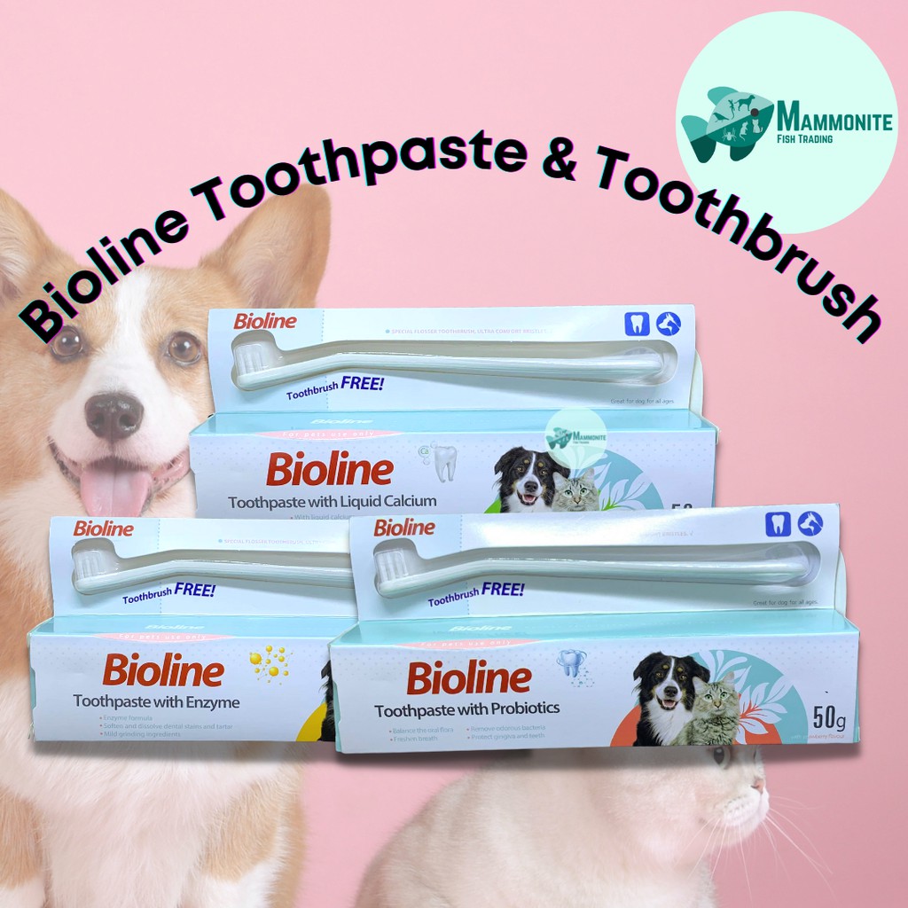 Bioline Pet Toothpaste 50 Grams With Free Toothbrush Enzyme Liquid