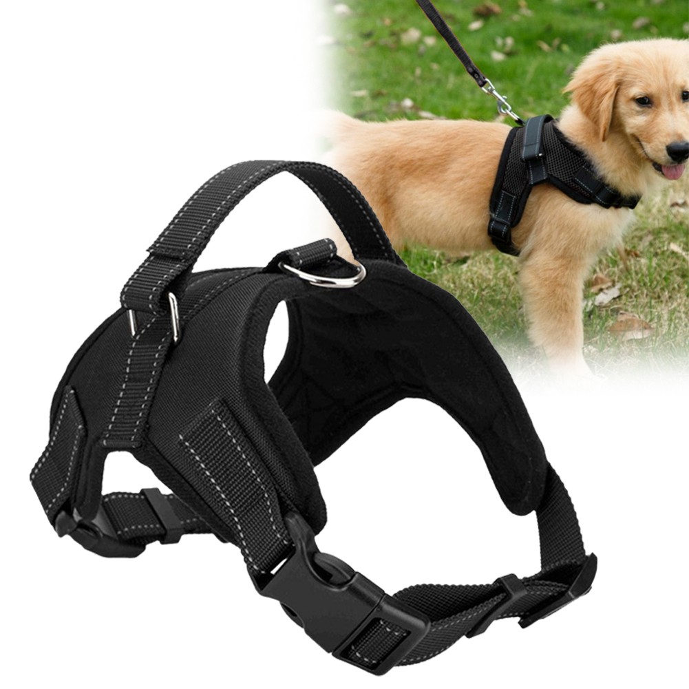 Adjustable Harness Pet Walk Out Vest 