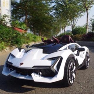 Lamborghini Rechargeable Ride On Car With Butterfly Wing Doors Rubber Tires