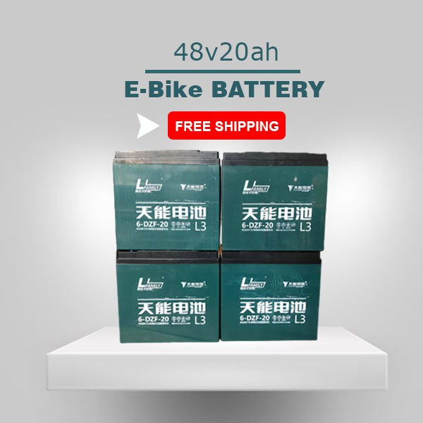 Ebike Battery 48v 20ah DZF Tianneng Brand SET, Applicable for Romai