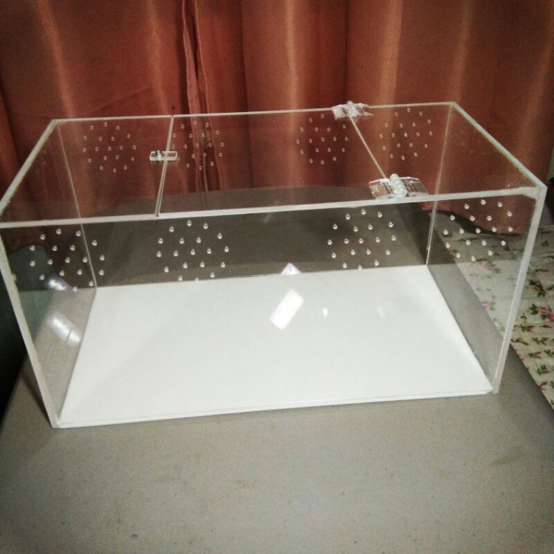 7x7x14 inches Acrylic Enclosure for Tarantulas and Pets Shopee