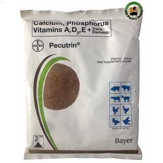 Pecutrin Vitamin Mineral feed Supplement Powder Sold per 100gramsPet