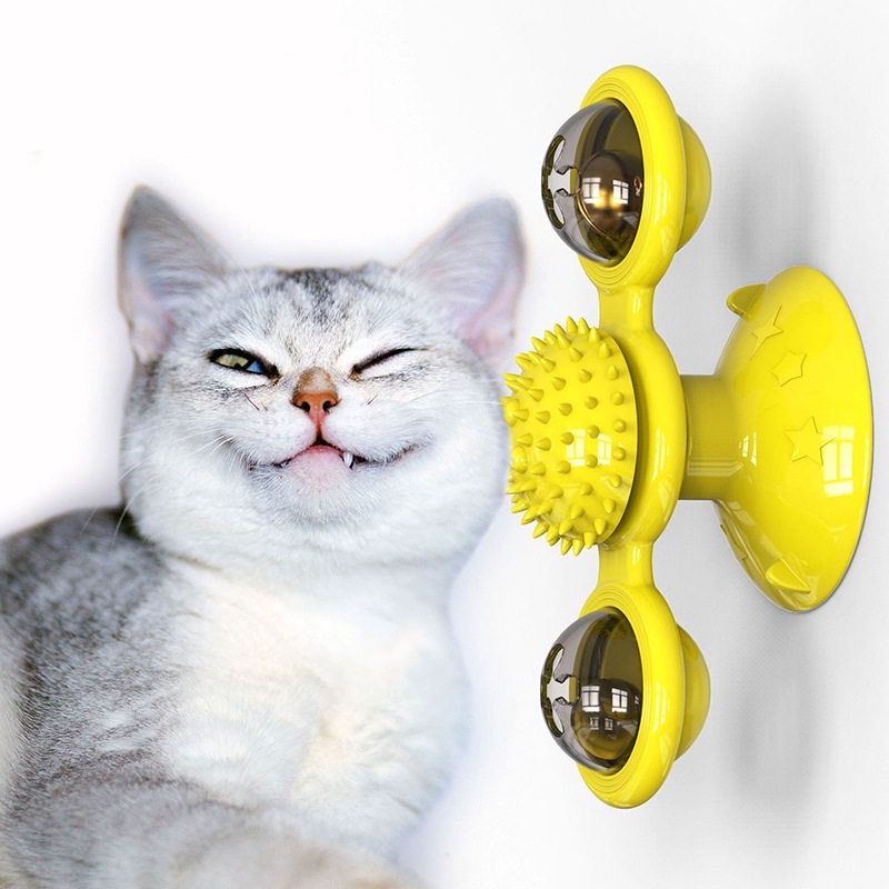round cat toy