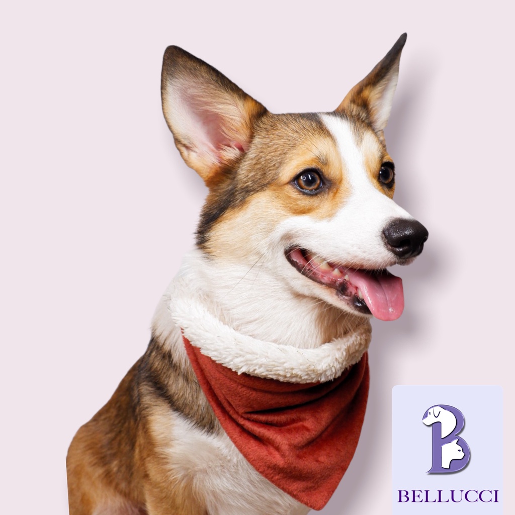 North Pole 3-in-1 Pet Bandana For Cats and Dogs #8