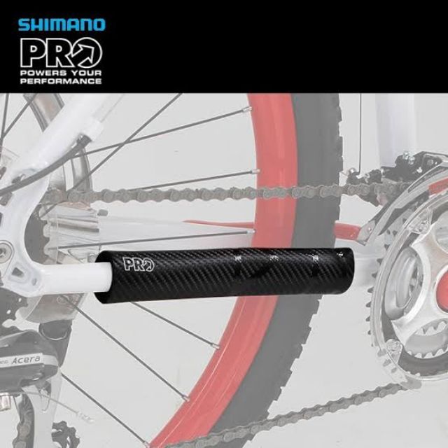 carbon chainstay protector
