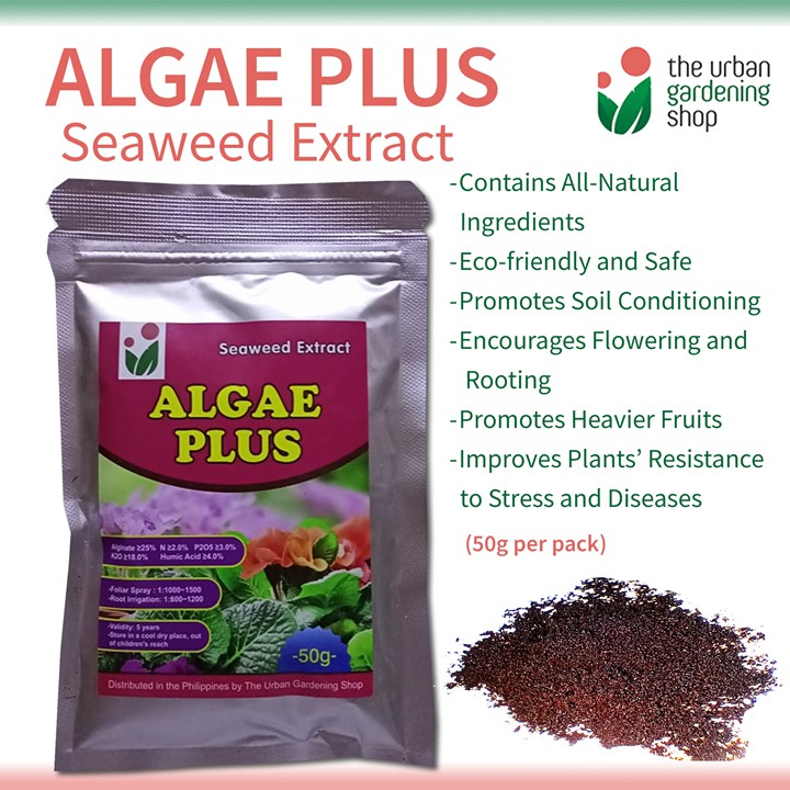 ALGAE PLUS Seaweed Extract for Soil Conditioning and Root Promotion