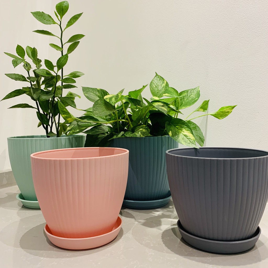（M）Shell Imitation Ceramic Plastic Flower Pots Plant Pots and Trays