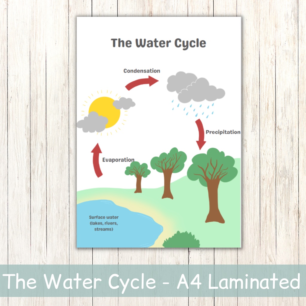 A4 Laminated Water Cycle Poster, Science Poster, Educational Poster ...