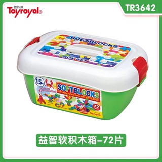 toyroyal magnetic blocks