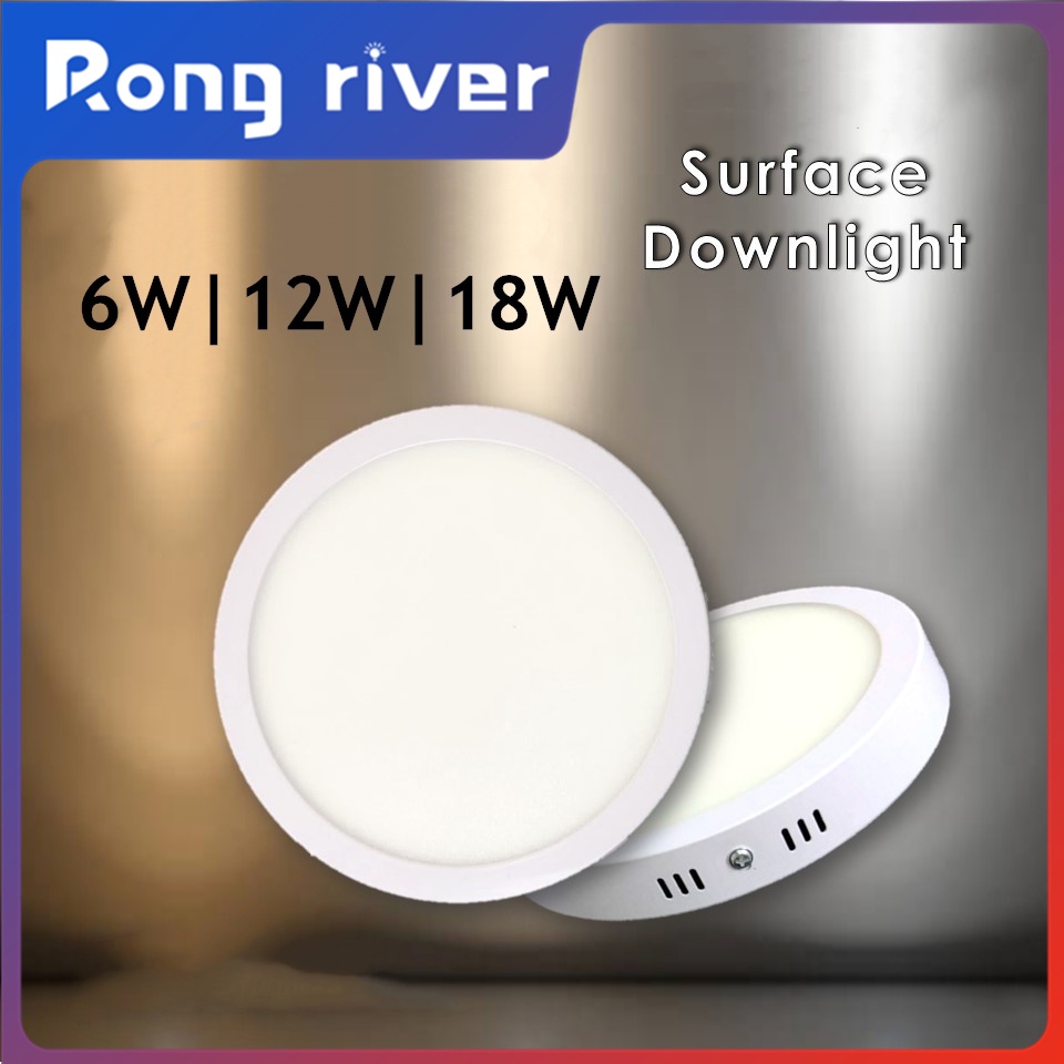 Rong River AC220V Surface Downlight 6W 12W 18W Ceiling Light Pin Light