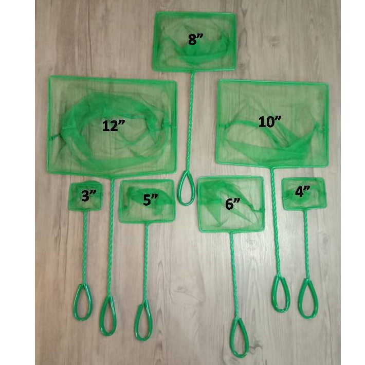 Fish Net Green With Plastic Handle for Fish Tank (3”,4”, 5” and 6”) #6