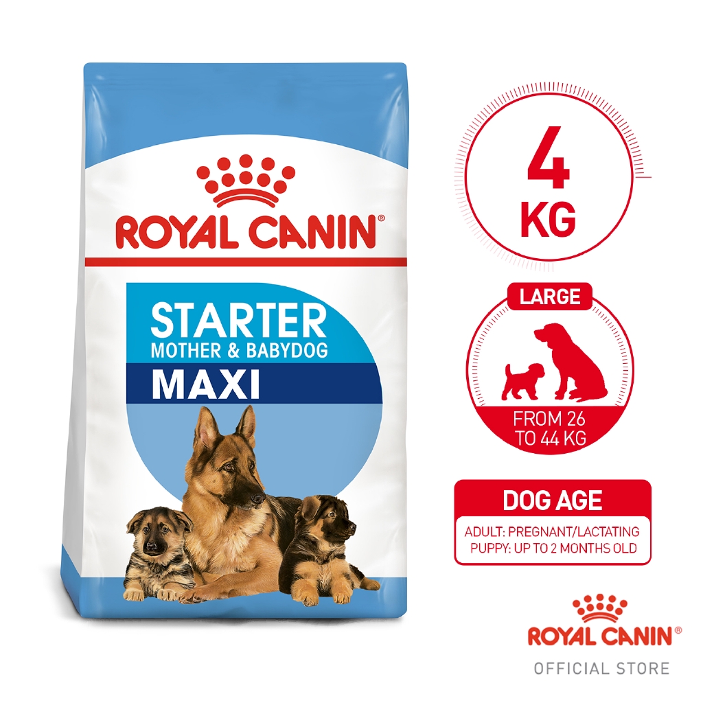 maxi starter mother and baby dog