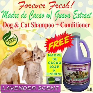 ”Free Soap & Ointment”1gallon Lavender Madre de Cacao w/ guava extract dog & cat shampoo+conditioner #1