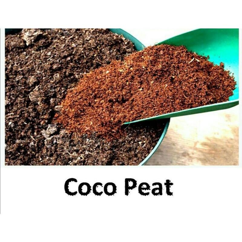 Coco Peat For Soil Mix Gardening (3 kilos) Shopee Philippines