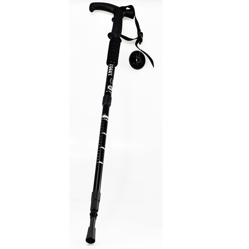 extendable hiking stick