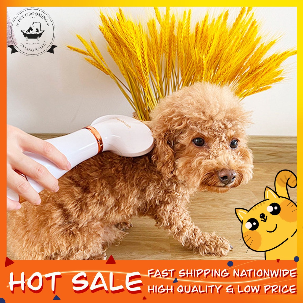 2in1 Portable Pet Dryer Dog Hair Dryer & Comb Pet Grooming Cat Hair Comb Dog Fur Blower Low Noise