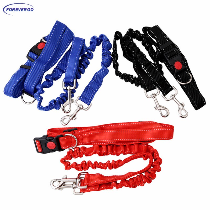 rope dog collar and leash