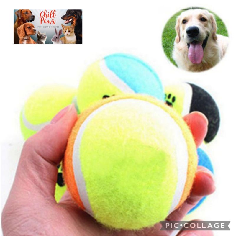 are tennis balls safe for dogs teeth