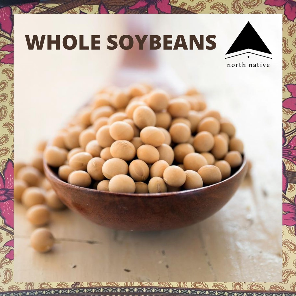 Sproutable Whole Soybeans / Soya / Soy Premium NONGMO 1kg Shopee