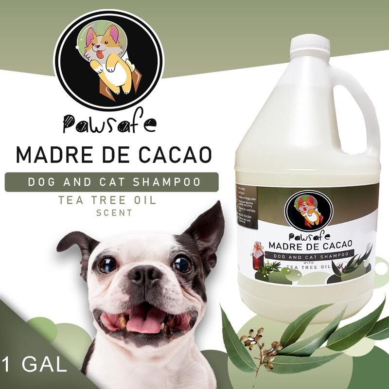 paw safe dog toothbrush