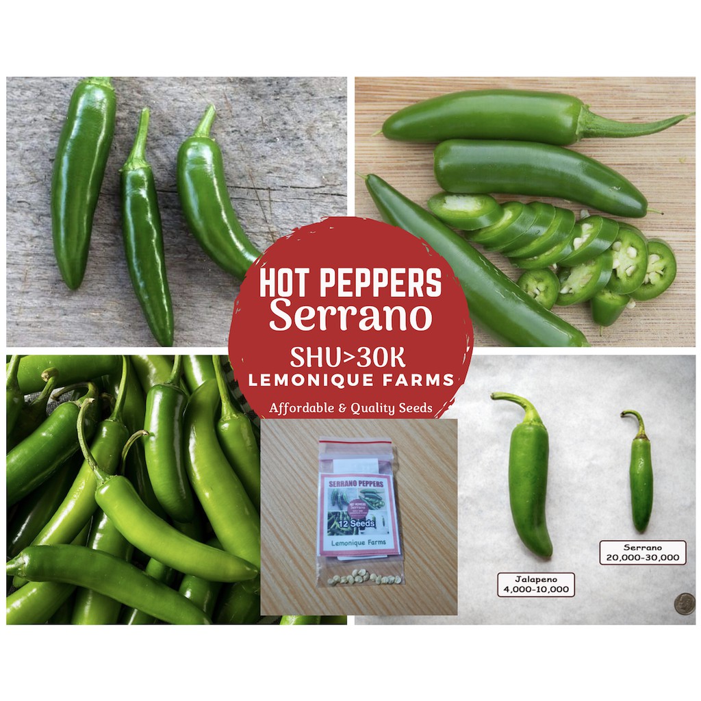 Serrano Peppers Serrano Pepper Serrano Hot Pepper Seeds SHU 30K