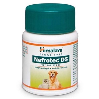 Himalaya Nefrotec DS 60 Tablets