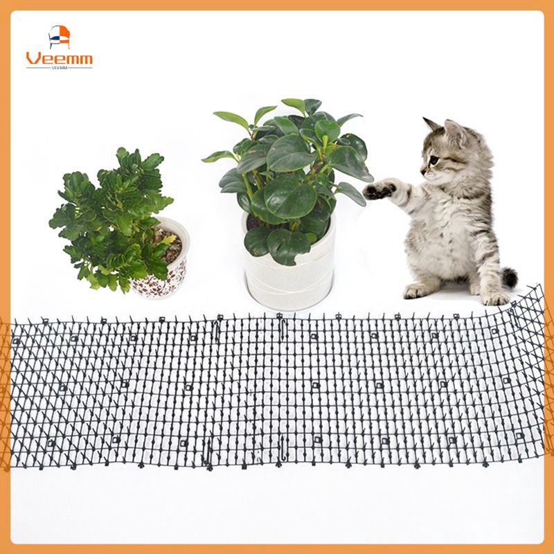 plastic spikes to deter cats