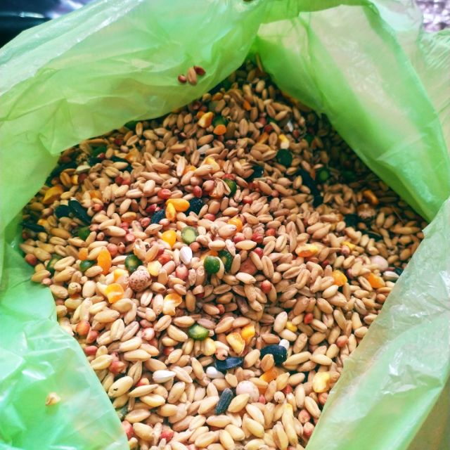 5KILOS - HAMSTER FOOD - MIX | Shopee 