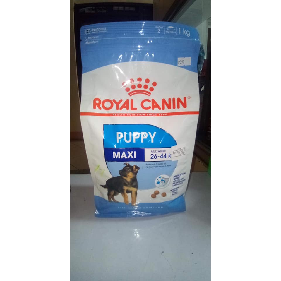 royal canin maxi junior 1kg