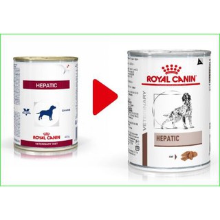 gastro intestinal royal canin cat