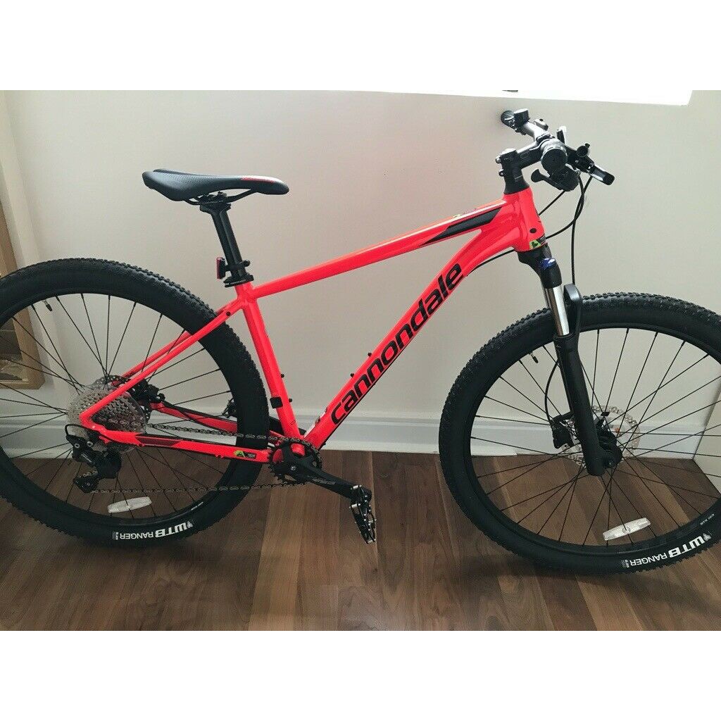 trail 5 cannondale 2019