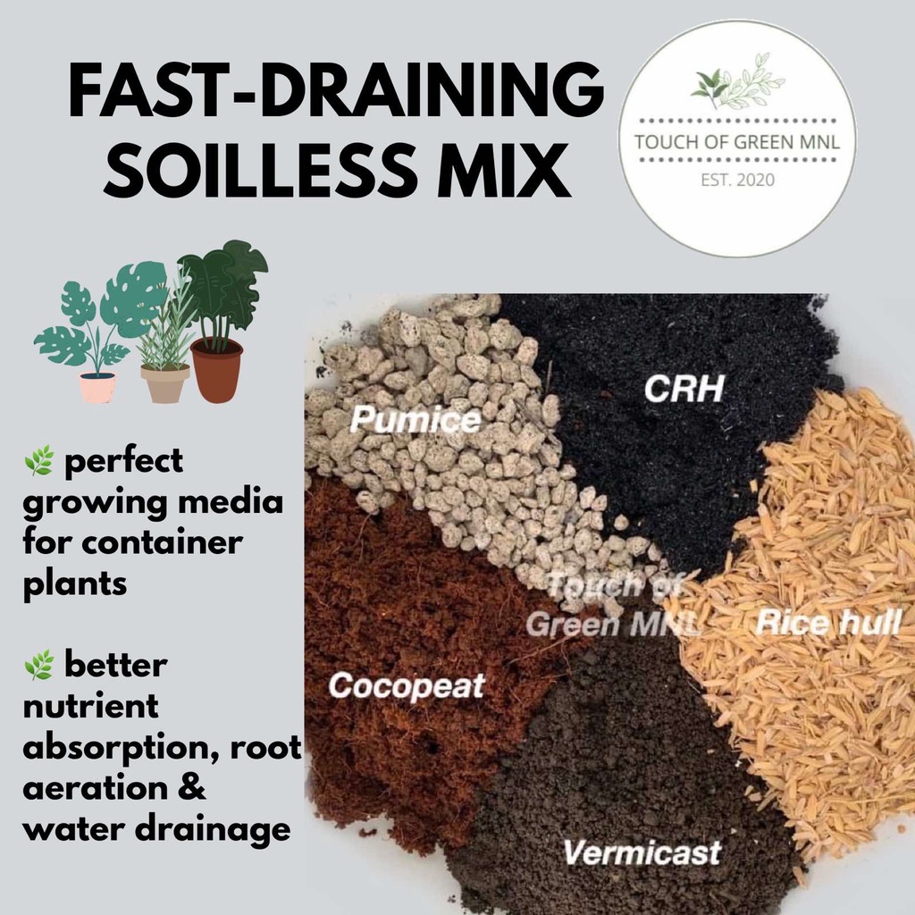 2022FAST DRAINING SOILLESS POTTING MIX Shopee Philippines
