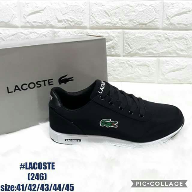 lacoste shoes men